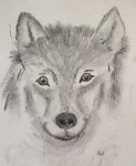00006-Picturale-a-sketch-a-dayNel