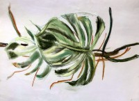 00011-Picturale-a-sketch-a-dayGuusje