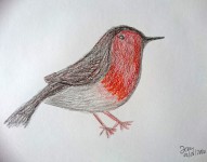 00014-Picturale-a-sketch-a-dayJenny-vd-N