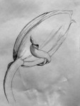 00017-Picturale-a-sketch-a-day-Bepke