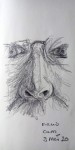 00018-Picturale-a-sketch-a-day-Charlotte