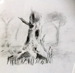 00034-Picturale-a-sketch-a-day-Nel