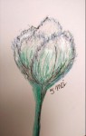 00047-Picturale-a-sketch-a-day-Jenny-d-K