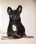 00050-Picturale-a-sketch-a-day-Nel