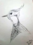 00055-Picturale-a-sketch-a-day-Christa