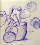 00057-Picturale-a-sketch-a-day-Jenny-d-K