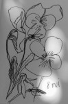 00071-Picturale-a-sketch-a-day-Jenny-d-K
