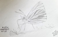 00086-Picturale-a-sketch-a-day-Christakopie