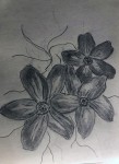 00104-Picturale-a-sketch-a-day-Jane