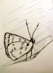 00105-Picturale-a-sketch-a-day-Jenny-d-K