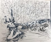 00115-Picturale-a-sketch-a-day-Els-v-A