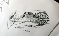 00118-Picturale-a-sketch-a-day-Jenny-d-K