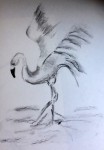 00129-Picturale-a-sketch-a-day-Nel