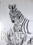 00148-Picturale-a-sketch-a-day-Nel.-16JPG