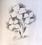 00163-Picturale-a-sketch-a-day-Nel