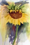 00185-Picturale-a-sketch-a-day-Nel