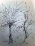 00187-Picturale-a-sketch-a-day-Willemijn