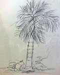 00188-Picturale-a-sketch-a-day-Jane