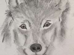 00006-Picturale-a-sketch-a-dayNel