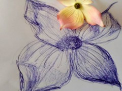 00013-Picturale-a-sketch-a-dayJenny-d-K