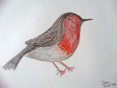 00014-Picturale-a-sketch-a-dayJenny-vd-N