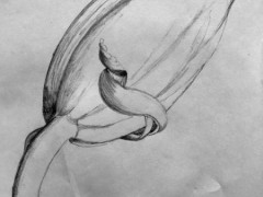 00017-Picturale-a-sketch-a-day-Bepke