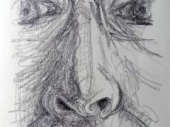 00018-Picturale-a-sketch-a-day-Charlotte