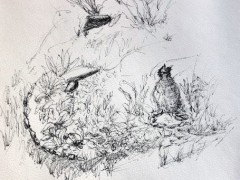 00046-Picturale-a-sketch-a-day-Els-v-A
