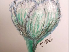 00047-Picturale-a-sketch-a-day-Jenny-d-K