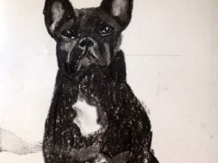 00050-Picturale-a-sketch-a-day-Nel