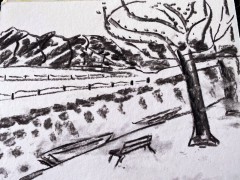00051-Picturale-a-sketch-a-day-Wiep