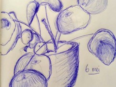 00057-Picturale-a-sketch-a-day-Jenny-d-K