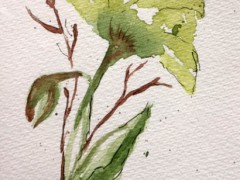 00090-Picturale-a-sketch-a-day-Nel