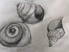 00130-Picturale-a-sketch-a-day-Wiep