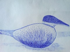 00154-Picturale-a-sketch-a-day-Jenny-v-N