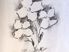00163-Picturale-a-sketch-a-day-Nel