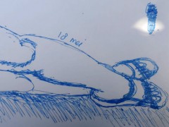 00171-Picturale-a-sketch-a-day-Jenny-d-K-16