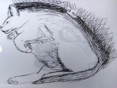 00176-Picturale-a-sketch-a-day-Jenny-d-K