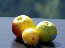Schildervakantie Zwitserland 06 2014 10